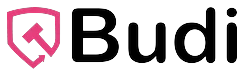 Budi Auktioner