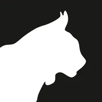 Krater.ai